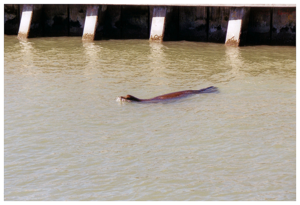 01 - San Francisco (17).jpg